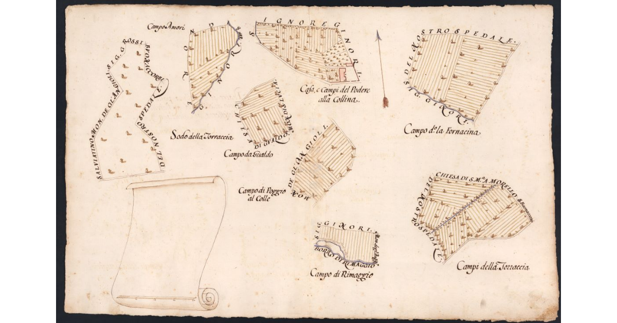 Podere della Collina posto nel Popolo di S. Maria a Morello Potesteria di Calenzano