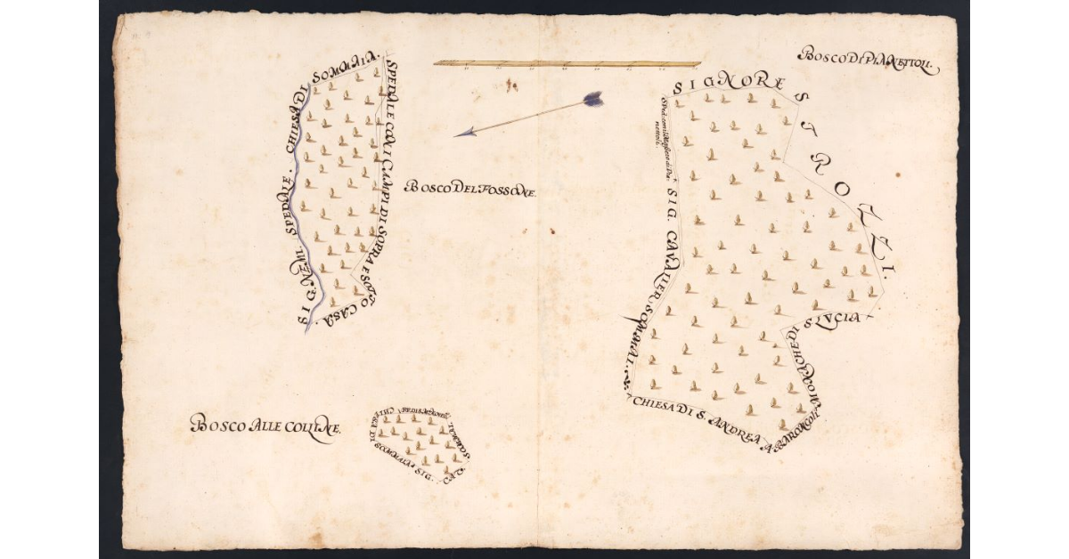 [Boschi dipendenti dal Podere dell’Acquaio posto nel Popolo di S. Romolo a Leccio Potesteria di Calenzano]