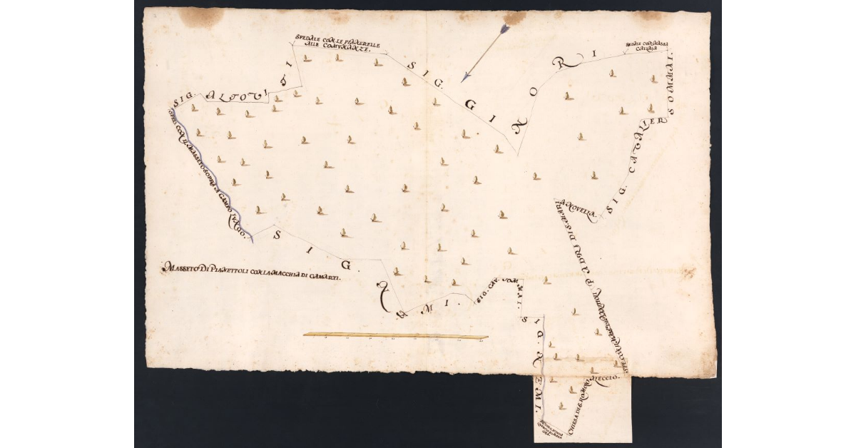 [Masseto di Pianettoli e Macchia di Gamarti dipendenti dal Podere dell’Acquaio posto nel Popolo di S. Romolo a Leccio Potesteria di Calenzano]