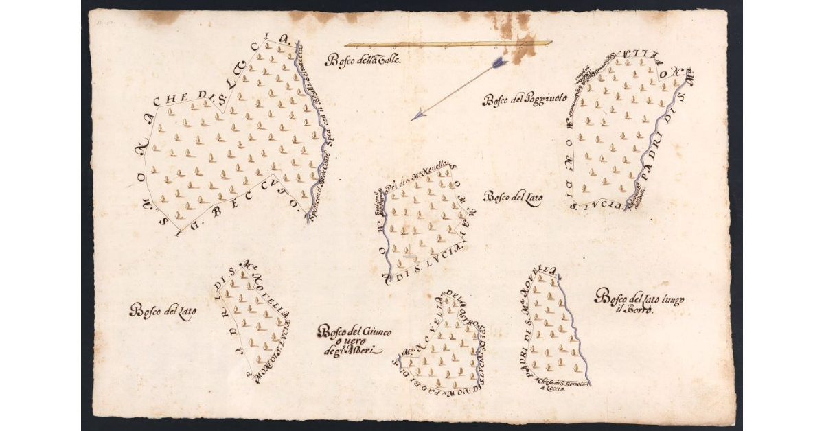 [Boschi dipendenti dal Podere da Rozzi posto nel Popolo di S. Romolo a Leccio Potesteria di Calenzano]