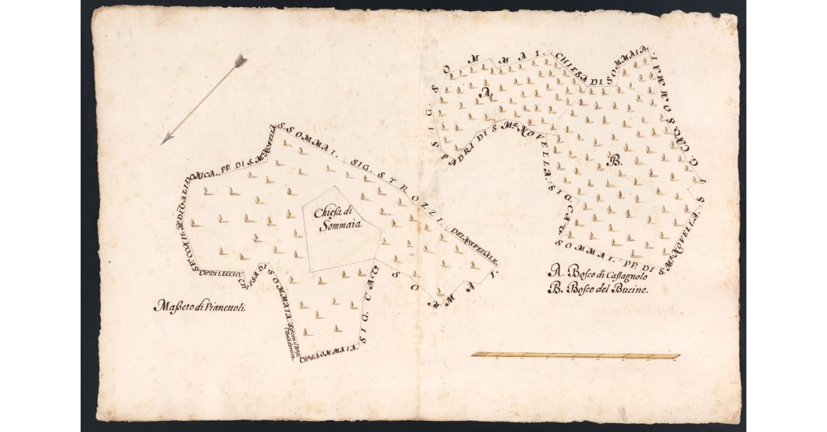 [Boschi e incolti dipendenti dal Podere da Rozzi posto nel Popolo di S. Romolo a Leccio Potesteria di Calenzano]