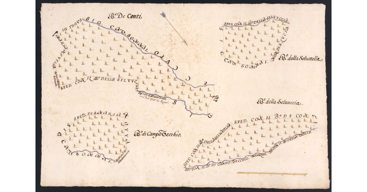 [Boschi dipendenti dal Podere del Caldino posto nel Popolo di S. Romolo a Leccio Potesteria di Calenzano]