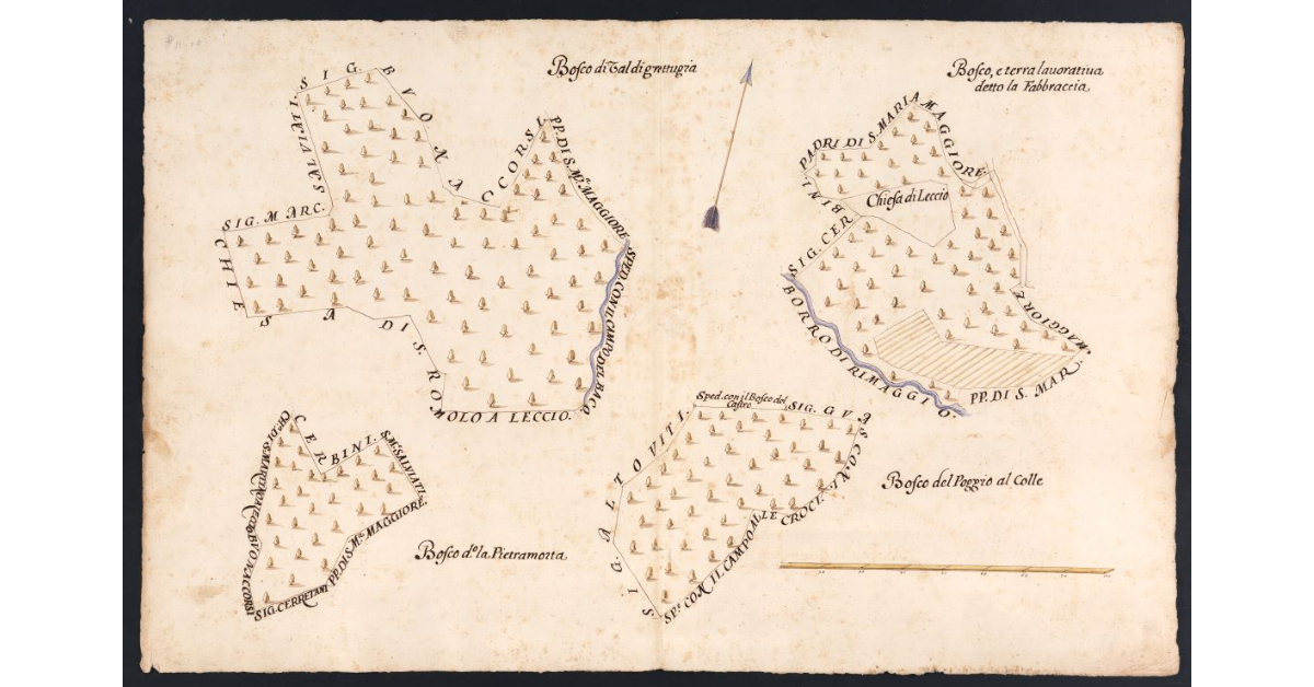 [Boschi dipendenti dal Podere di Palaia posto nel Popolo di S. Martino a Leccio Potesteria di Calenzano]