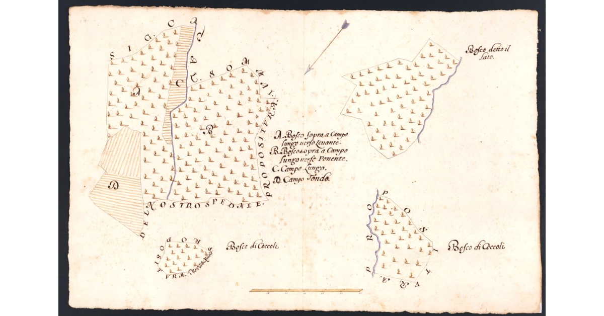 [Boschi e campi dipendenti dal Podere di Broto posto nel Popolo di S. Donato Potesteria di Calenzano]