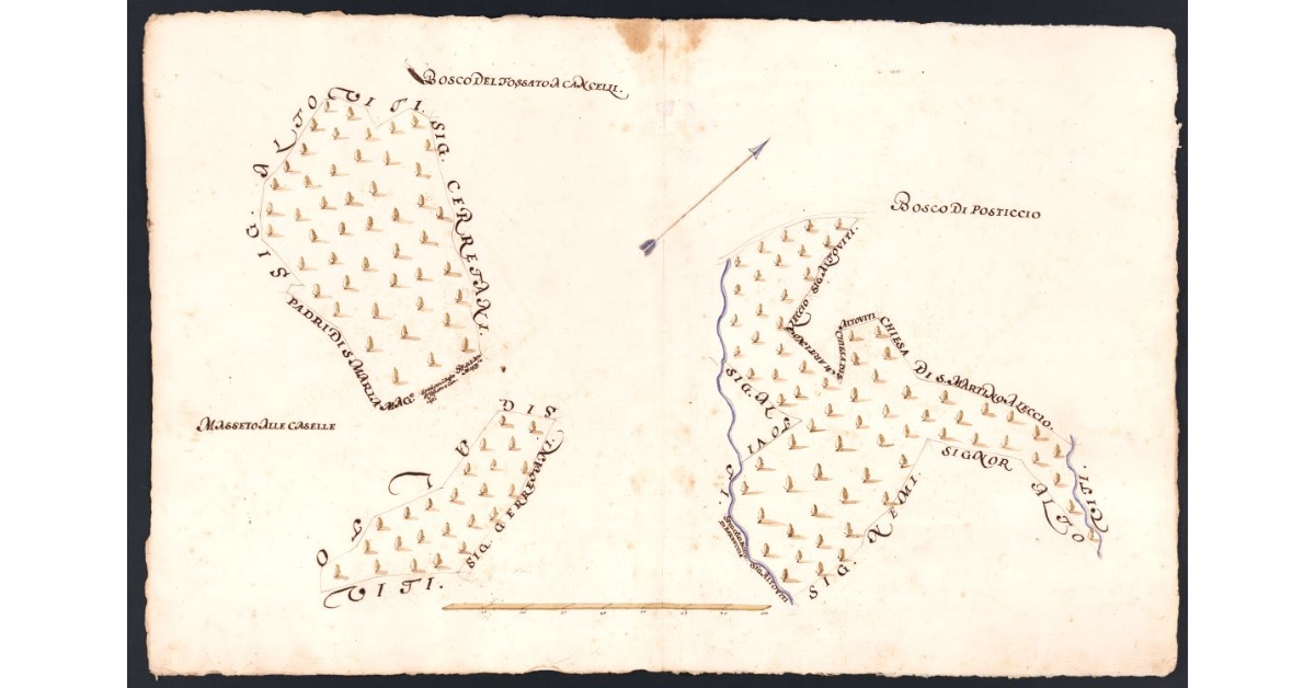 [Boschi e incolti dipendenti dal Podere di Vignale posto nel Popolo di S. Martino a Leccio Potesteria di Calenzano]