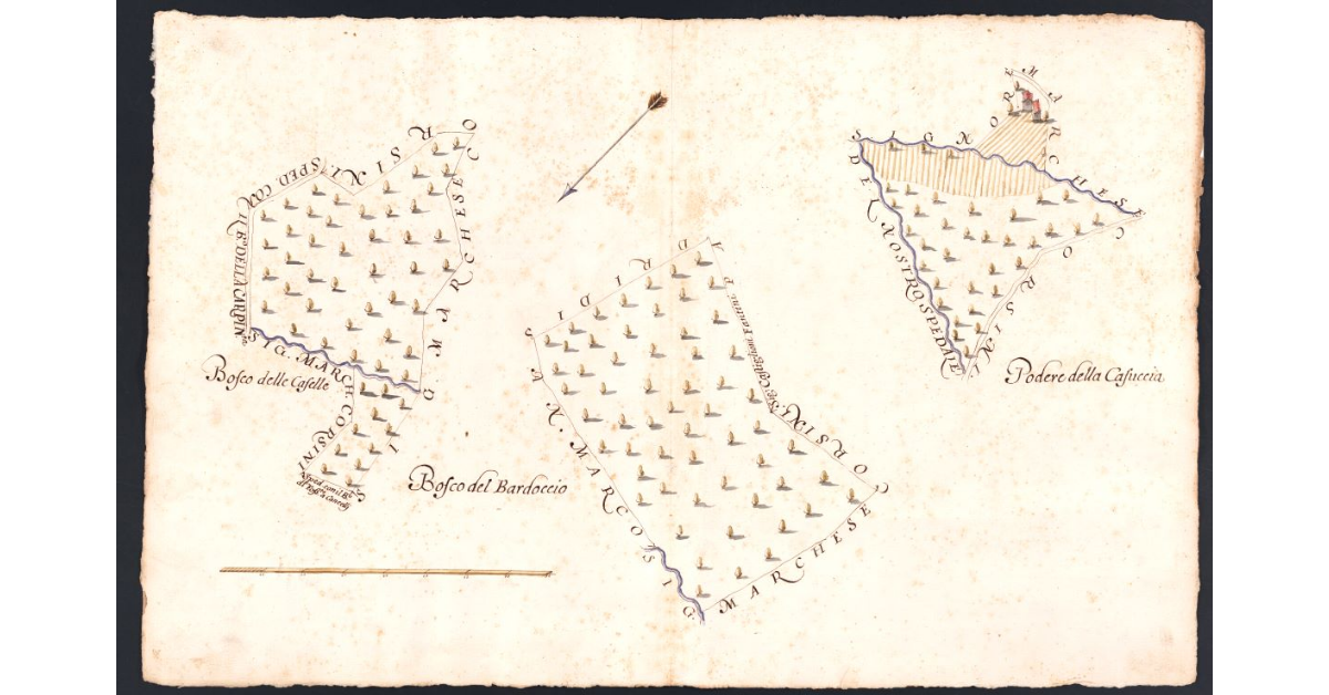 Podere della Casuccia posto nel Popolo di S. Stefano a Pescina Potesteria di Scarperia