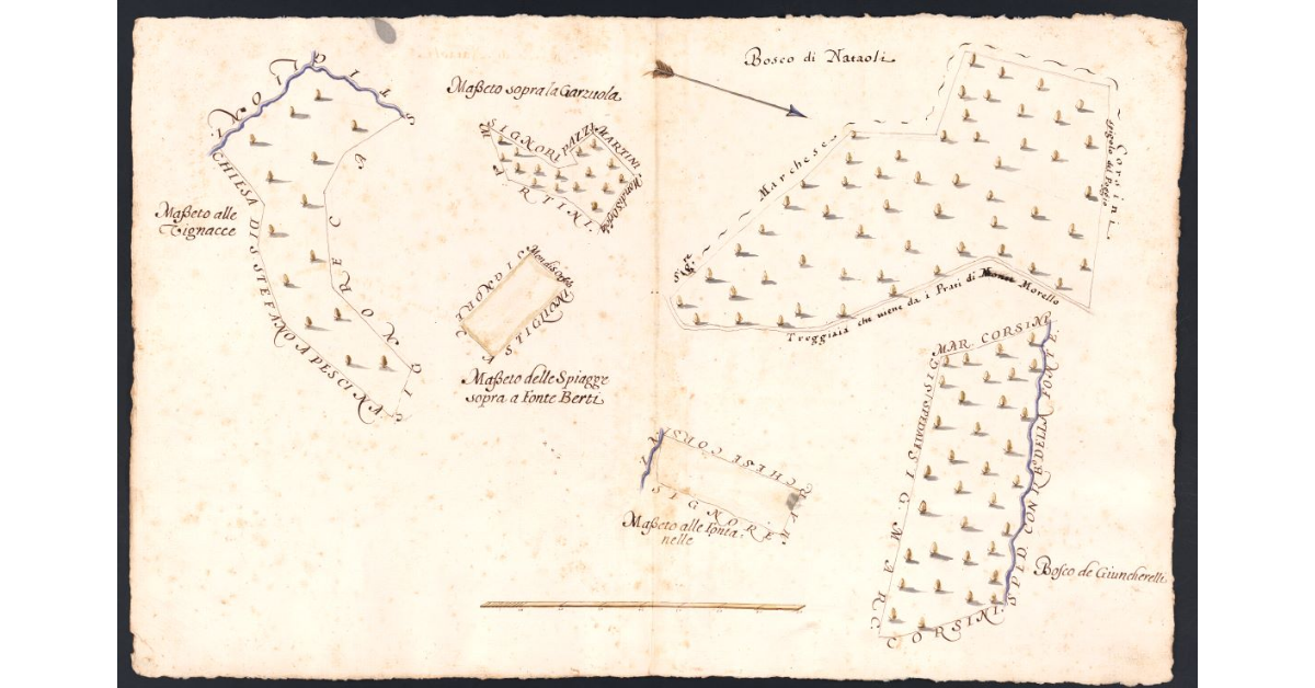 [Boschi e masseti dipendenti dal Podere della Casuccia posto nel Popolo di S. Stefano a Pescina Potesteria di Scarperia]