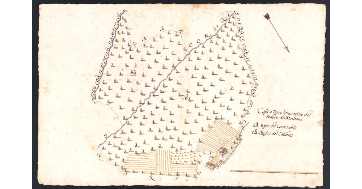 Podere di Morlione posto nel Popolo di S. Andrea a Cerreto Maggio Potesteria di Scarperia