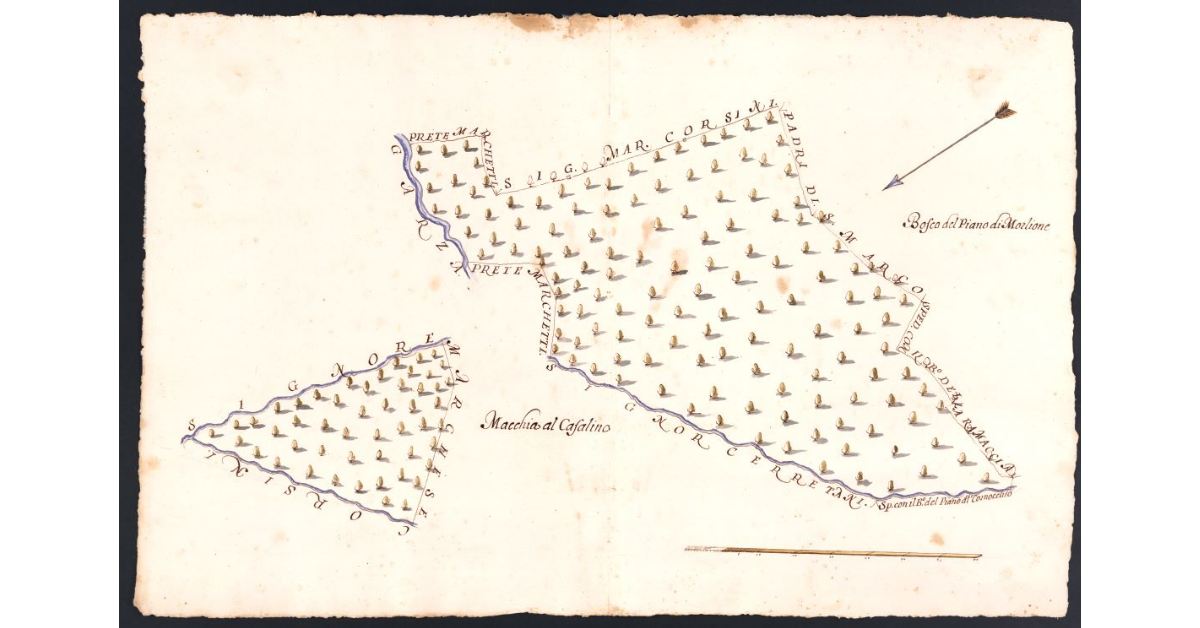 [Boschi dipendenti dal Podere di Morlione posto nel Popolo di S. Andrea a Cerreto Maggio Potesteria di Scarperia]