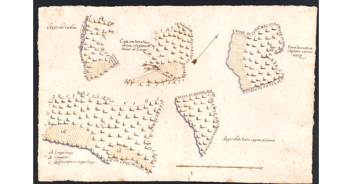 Podere di Garza posto nel Popolo di S. Andrea a Cerreto Maggio Potesteria di Scarperia