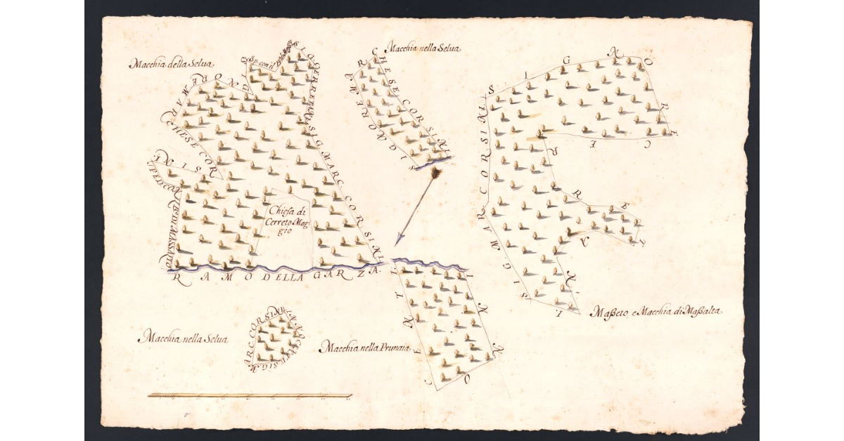 [Boschi dipendenti dal Podere di Garza posto nel Popolo di S. Andrea a Cerreto Maggio Potesteria di Scarperia]