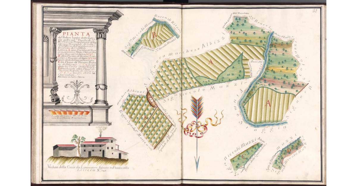 Pianta del Podere luogo detto Lecchi, posto nel Popolo di S.a Maria a Lecchi, Propositura di Poggibonsi e Vescovado di Colle, Potesteria di Poggibonsi, e Vicariato di Certaldo