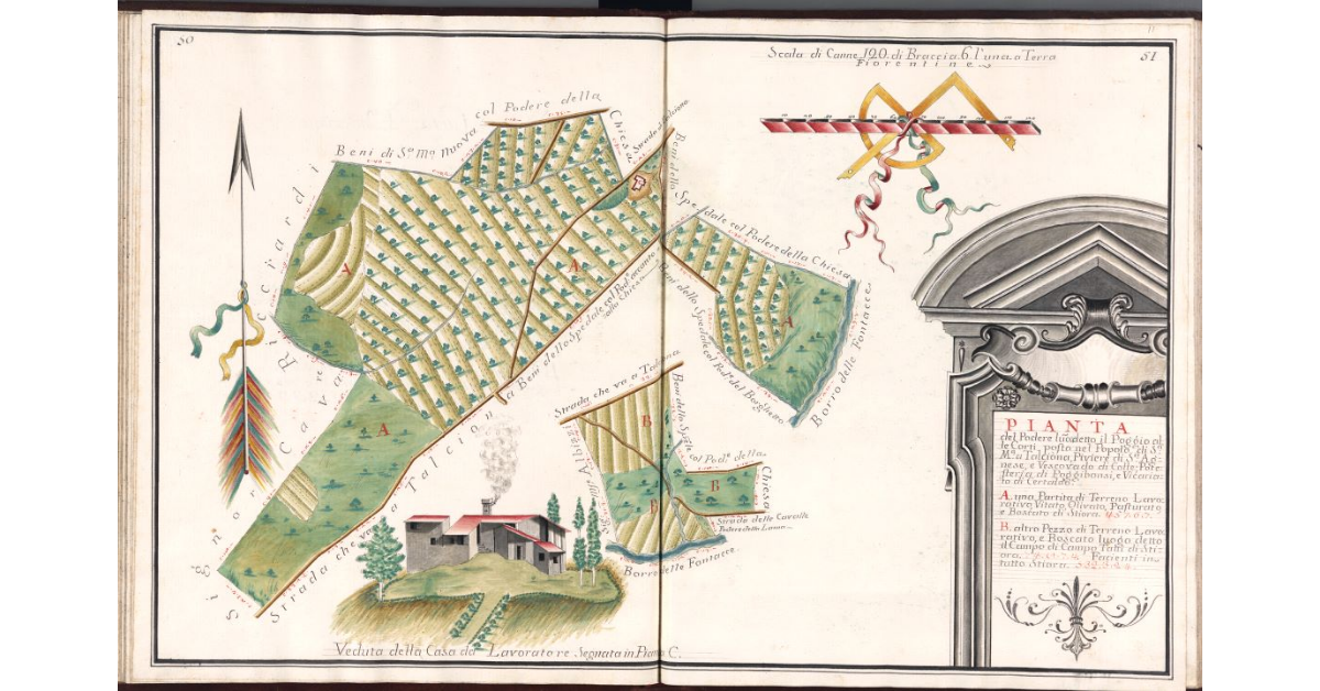Pianta del Podere luogo detto Il Poggio alle Corti, posto nel Popolo di S.a Maria a Talciona, Piviere di S.a Agnese e Vescovado di Colle, Potesteria di Poggibonsi, e Vicariato di Certaldo