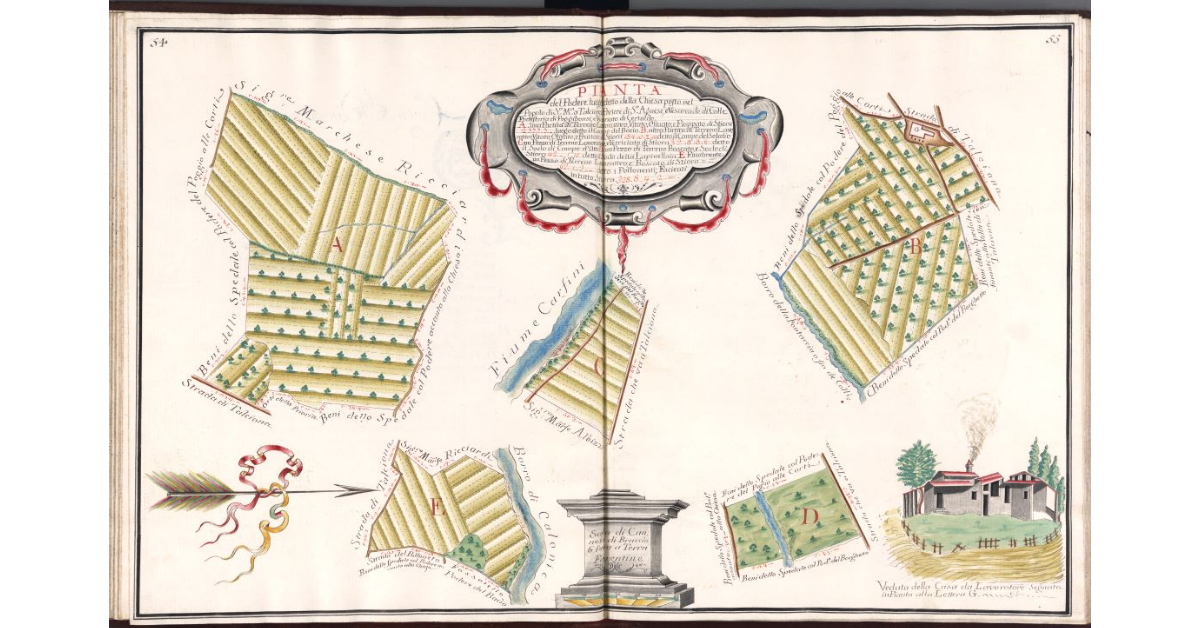 Pianta del Podere luogo detto della Chiesa, posto nel Popolo di S.a Maria a Talciona, Piviere di S.a Agnese e Vescovado di Colle, Potesteria di Poggibonsi, e Vicariato di Certaldo