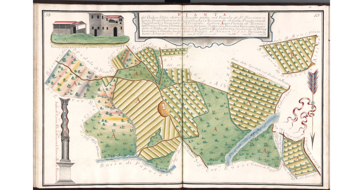 Pianta del Podere luogo detto Il Tresto, posto nel Popolo di S. Martino a Luco, Propositura di Poggibonsi e Vescovado di Colle, Potesteria di Poggibonsi, e Vicariato di Certaldo