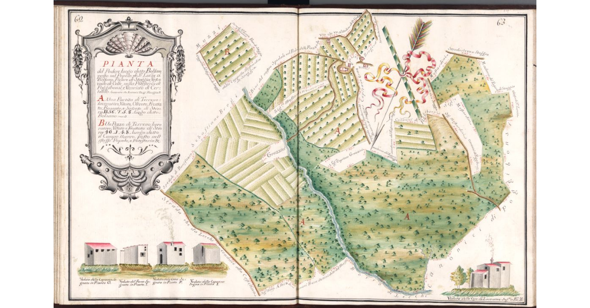 Pianta del Podere luogo detto Bolsano, posto nel Popolo di S.a Lucia a Bolsano, Piviere di Staggia, Vescovado di Colle, Potesteria di Poggibonsi, e Vicariato di Certaldo
