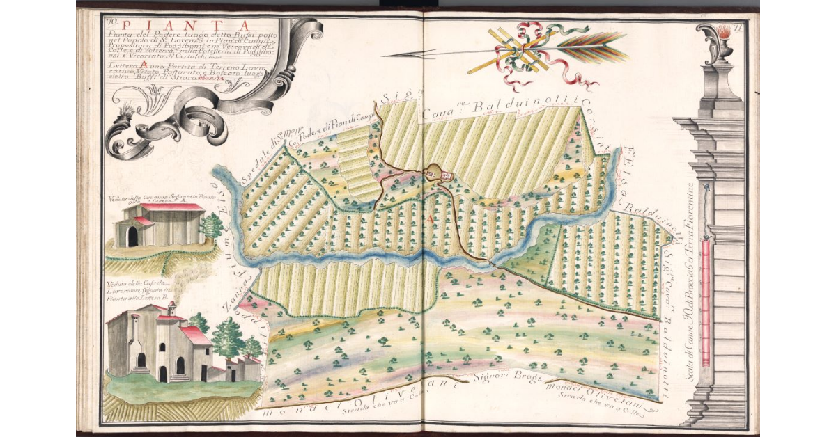 Pianta del Podere luogo detto Bussi posto nel Popolo di S. Lorenzo in Pian di Campi, Propositura di Poggibonsi e ne Vescovadi di Colle e di Volterra, Potesteria di Poggibonsi, e Vicariato di Certaldo