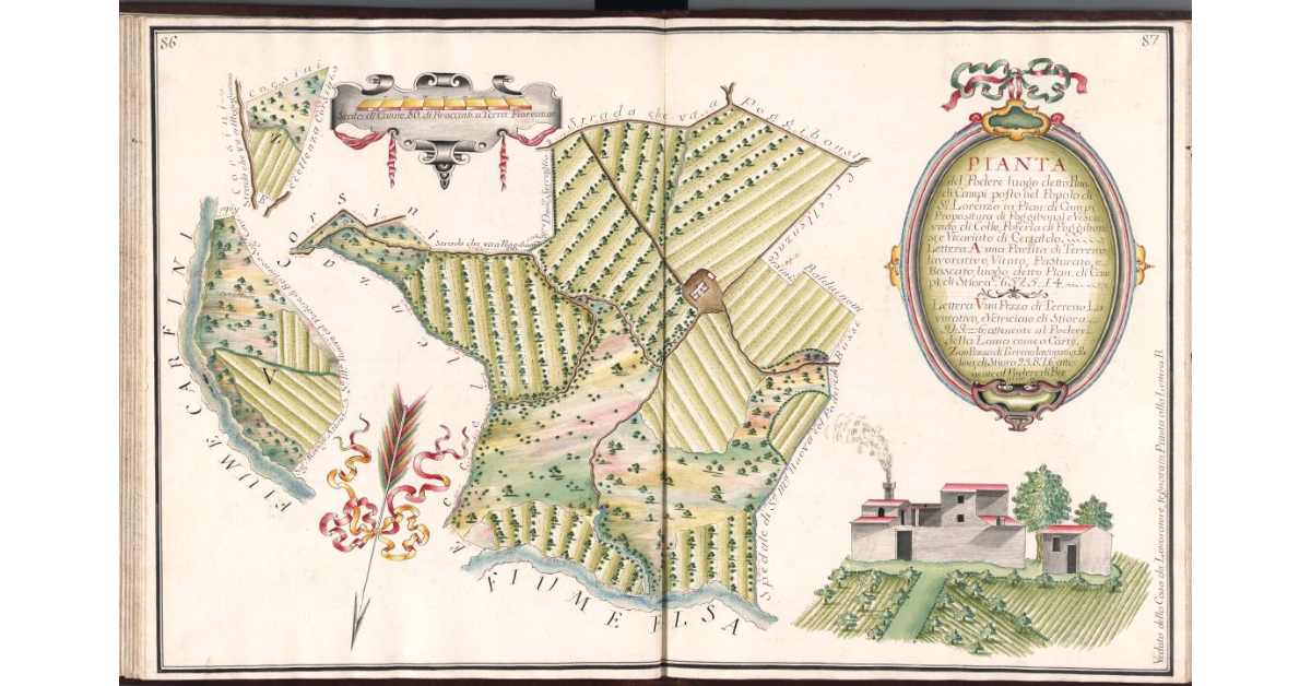 Pianta del Podere luogo detto Pian di Campi, posto nel Popolo di S. Lorenzo in Pian di Campi, Propositura di Pontassieve, e Vescovado di Colle, Potesteria di Poggibonsi, e Vicariato di Certaldo