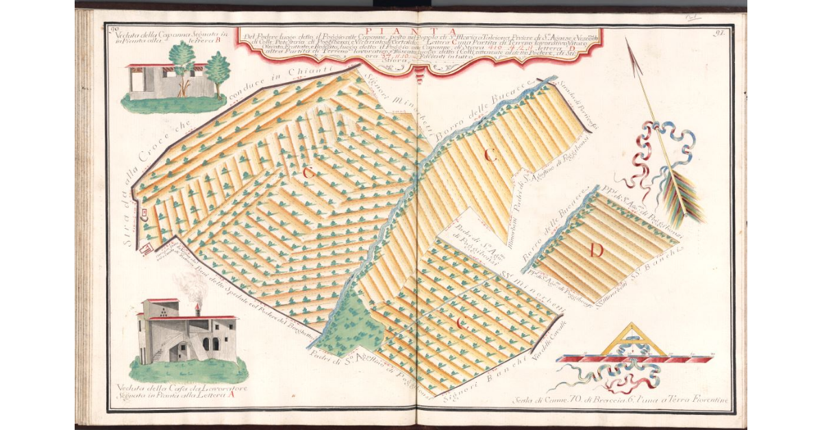 Pianta del Podere luogo detto Il Poggio alle Capanne, posto nel Popolo di S.a Maria a Talciona, Pieve di S.a Agnese, e Vescovado di Colle, Potesteria di Poggibonsi, e Vicariato di Certaldo