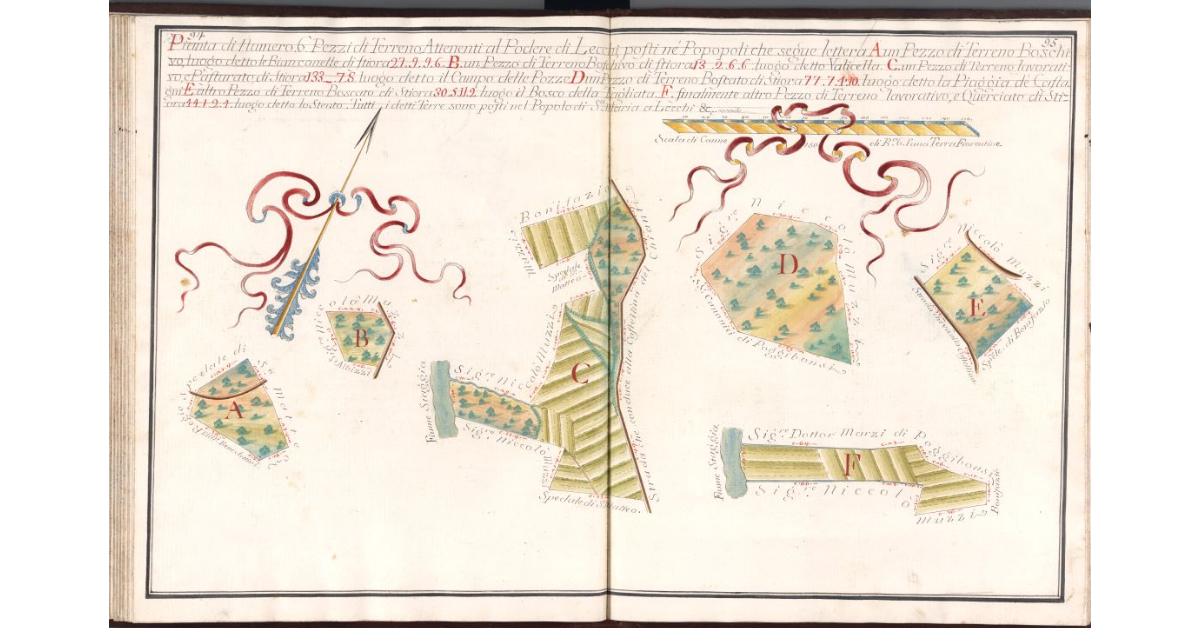 Pianta di numero 6 pezzi di terreno attenenti al Podere di Lecchi […]
