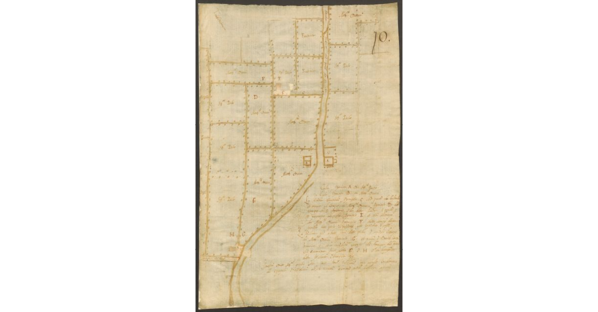 [Pianta dei terreni di proprietà Ducci e Pico]