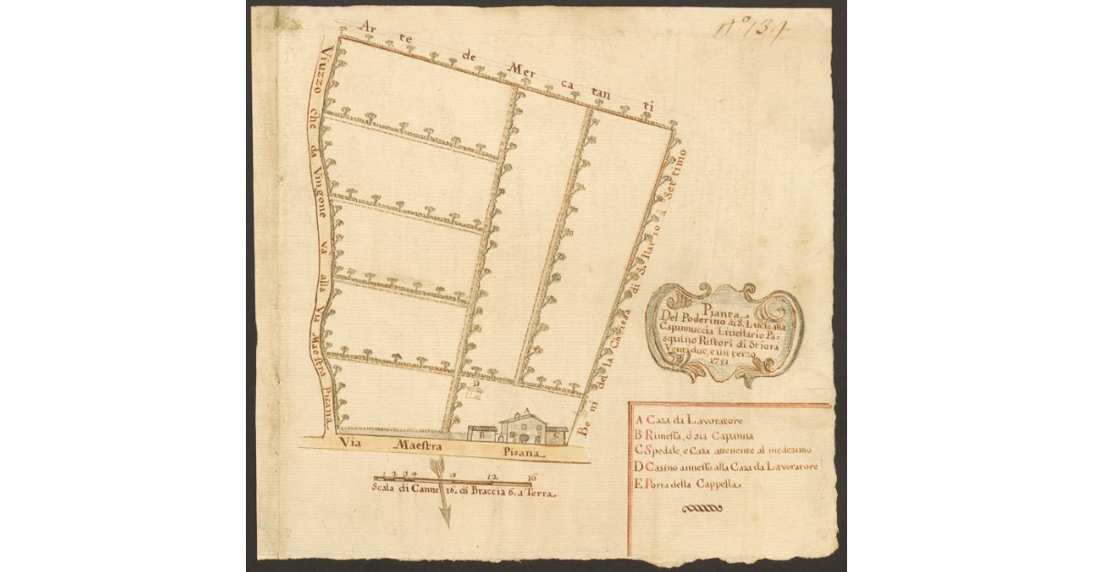 Pianta del Poderino di S. Lucia alla Capannuccia Livellario Pasquino Ristori di stiora 22 e 1/3