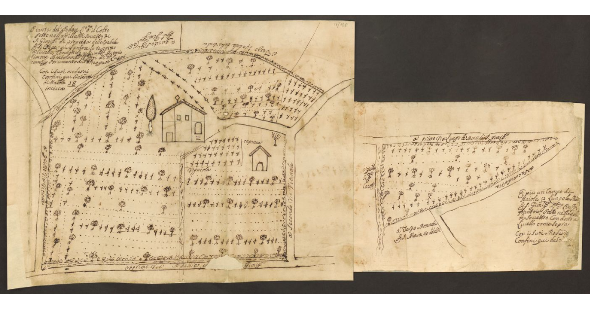 Pianta del Podere l.o d.o il Colto Posto nella Villa di Sovestro di S. Gimig.no di proprietà dello Spedale di S. Croce, qual podere lo tengono a livello; Condottolo a Livello; Antonio Simone Bartolomeo fratelli Razzi di d.o Luogo come per Strumento dal d.o rogato con i suoi medesimi confini qui Descritti di staiola 18 incirca