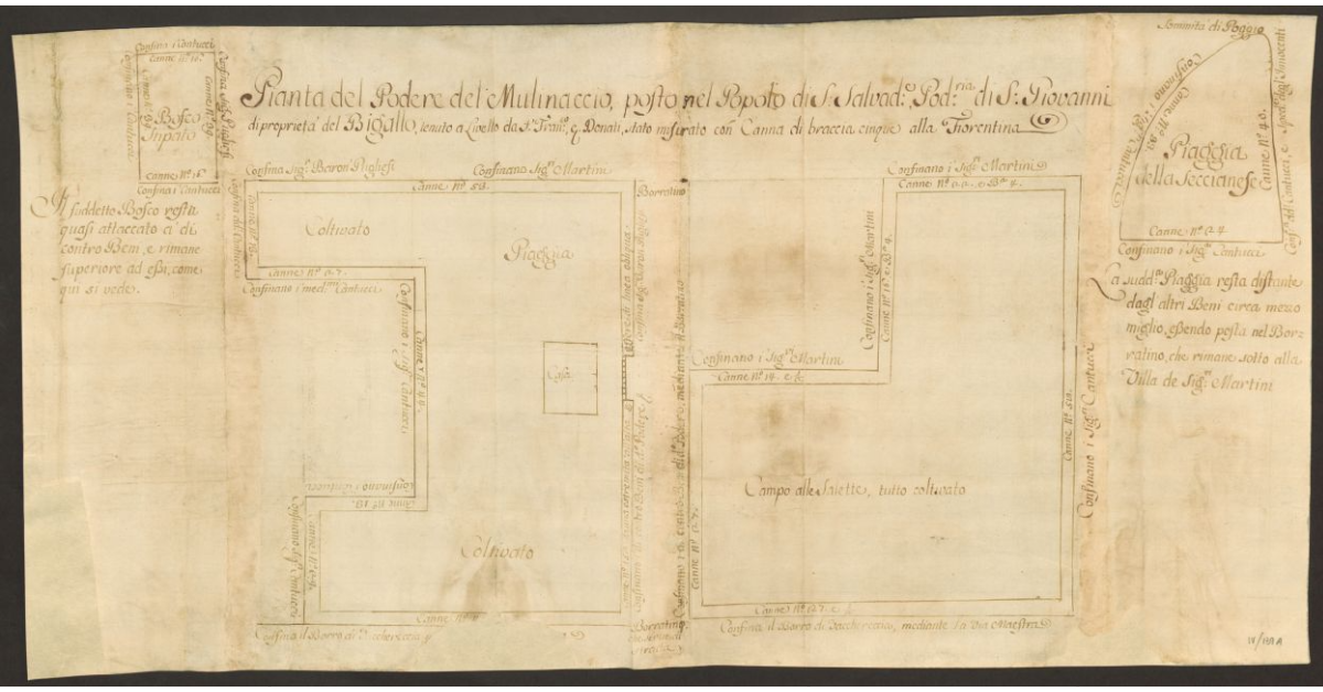 Pianta del Podere del Mulinaccio, Posto nel Popolo di S. Salvad.e, Pod.ria di S. Giovanni di proprietà del Bigallo, tenuto a Livello da S. Franc.co e. Donati, stato misurato con Canna di braccia cinque alla Fiorentina