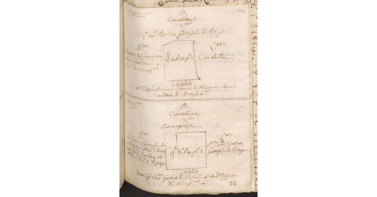 [Pianta e misura di due appezzamanti di terreno di proprietà dello Spedale di S. Bartolomeo di Monsummano e tenuti a livello dai Bolognini]