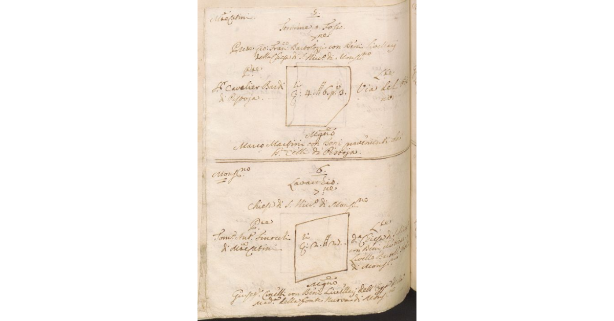 [Pianta e misura di due appezzamanti di terreno di proprietà dello Spedale di S. Bartolomeo di Monsummano e tenuti a livello dai Bolognini]