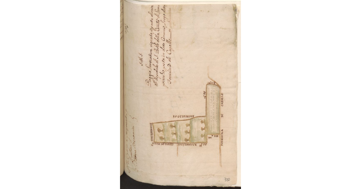 Piaggia Lavorativa vignata, e parte olivata all’Ospedale di S. Paolo della Comunità di Lamporecchio, posta in detto Comune, Luogo detto Forricina di Capalle