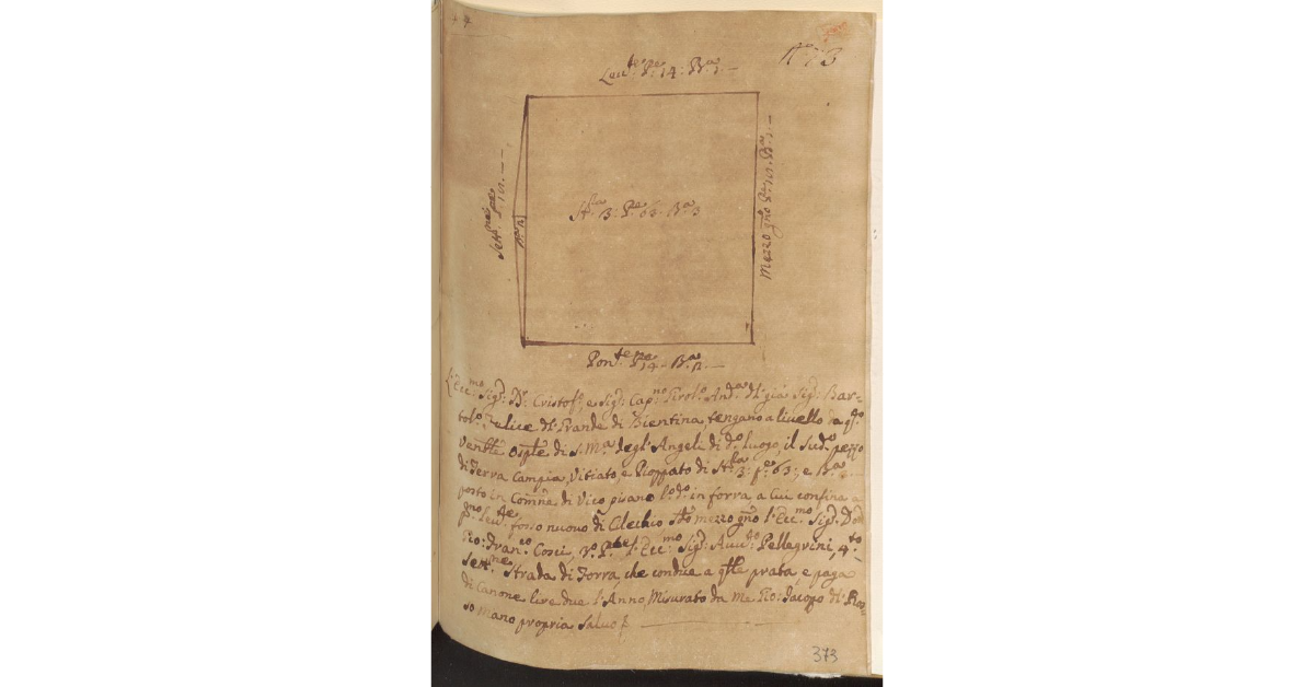 [Appezzamento di terreno posto nel territorio di Vicopisano tenuto a livello dagli eredi di Bartolomeo Felice Di Grande su concessione dello Spedale di S. Maria degli Angeli e dal Magistrato del Bigallo]