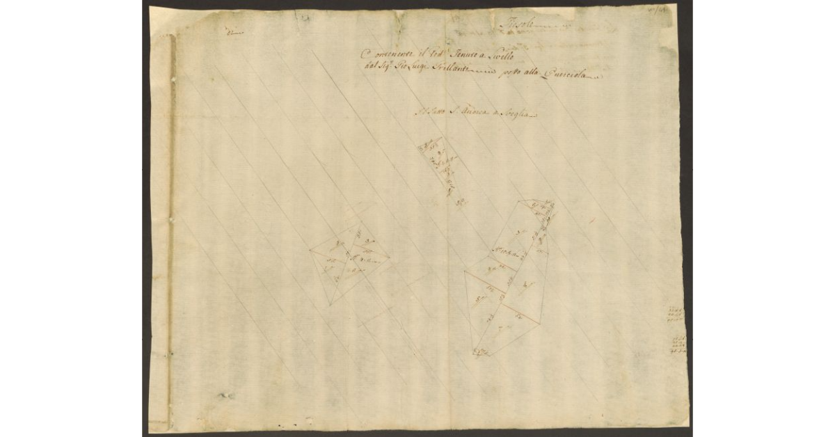 [Pianta di alcuni appezzamenti di terreno di dominio diretto del Bigallo concessi a livello al sig. Grillanti nella comunità di Fiesole]
