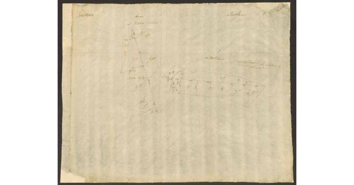 [Pianta di alcuni appezzamenti di terreno di dominio diretto del Bigallo concessi a livello nella comunità di Fiesole]