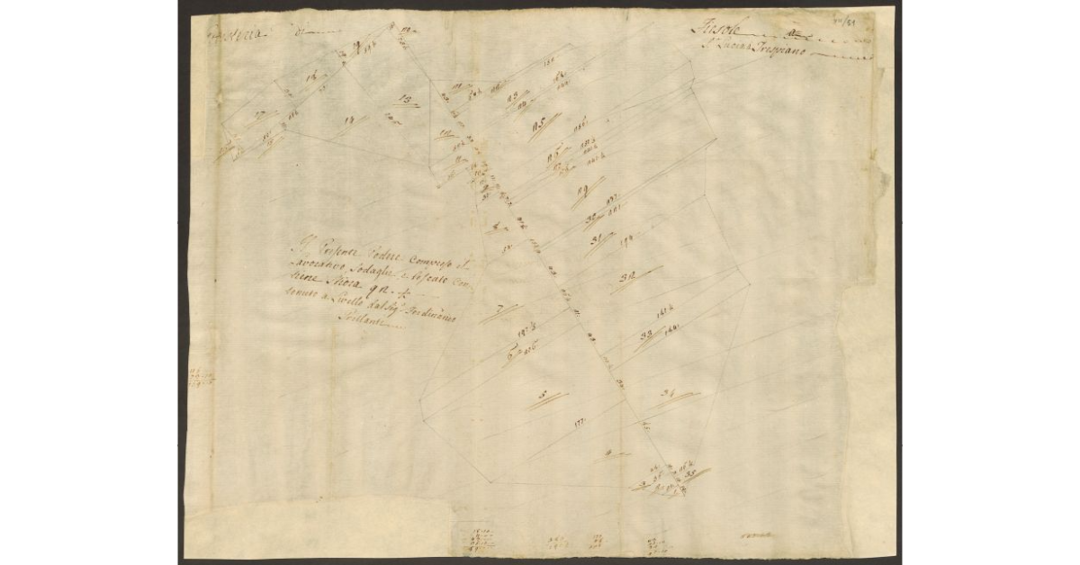 [Pianta di un podere di dominio diretto del Bigallo concesso a livello al sig. Grillanti nella comunità di Fiesole]