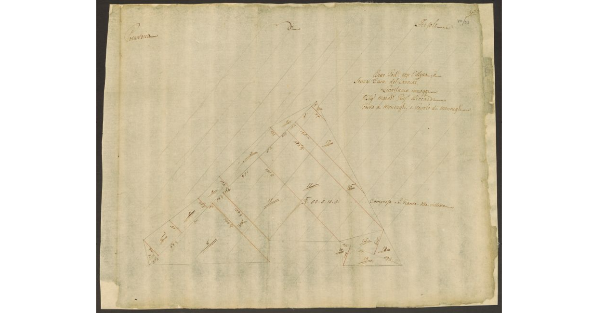 [Pianta di un podere di diretto dominio del Bigallo concesso a livello al marchese Giuseppe Riccardi nella comunità di Fiesole]