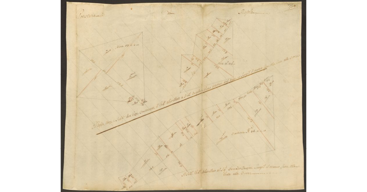 [Pianta di alcuni appezzamenti di terreno ed un podere di dominio diretto del Bigallo concessi a livello nella comunità di Fiesole]