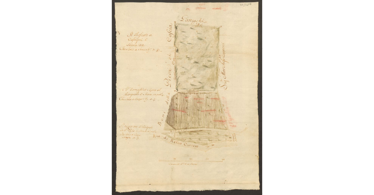 [Pianta di alcuni appezzamenti di terreno di proprietà del Bigallo]