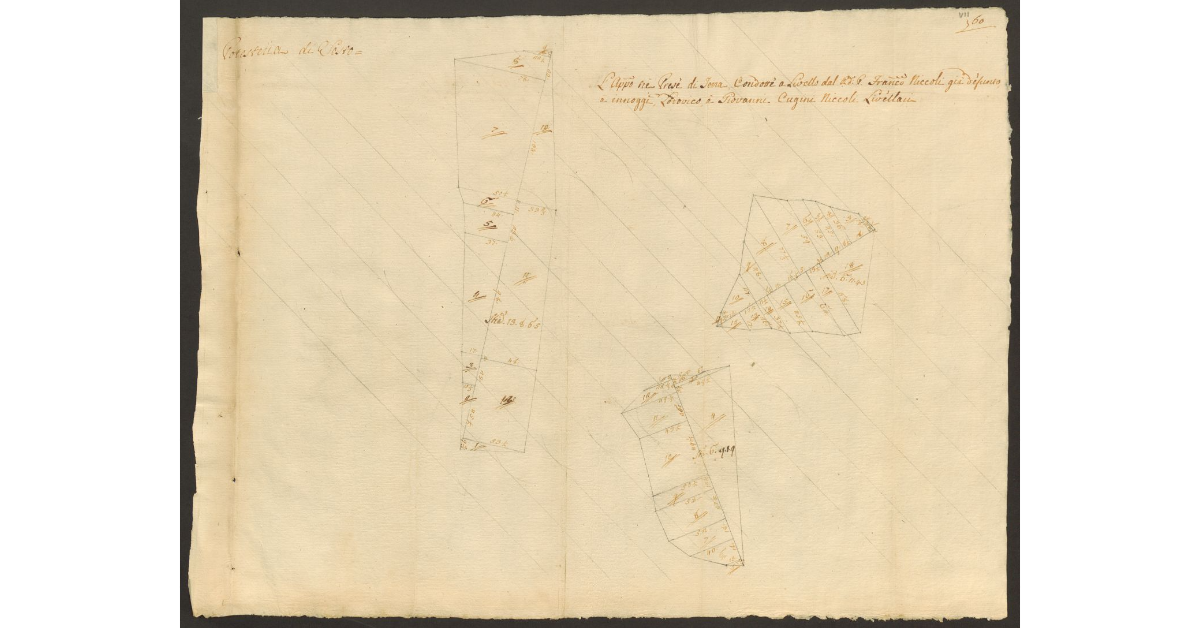 [Pianta di alcuni appezzamenti di terreno di dominio diretto del Bigallo concessi a livello Lodovico e Giovanni Niccoli nella comunità di Sesto]