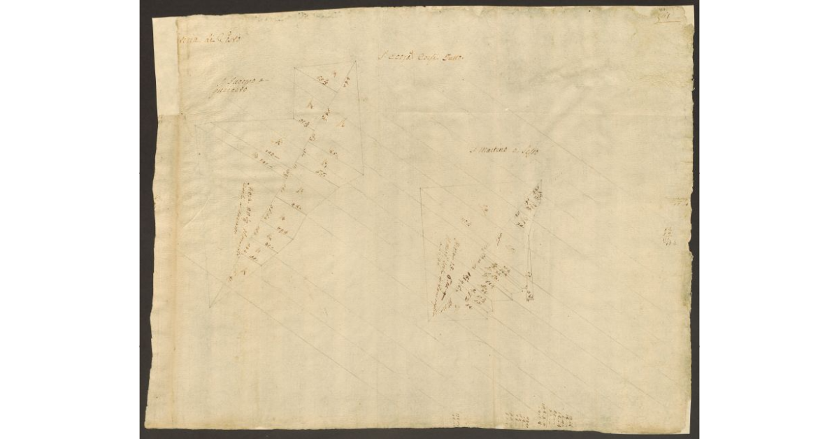 [Pianta di alcuni appezzamenti di terreno di dominio diretto del Bigallo concessi a livello al marchese Corsi nella comunità di Sesto]