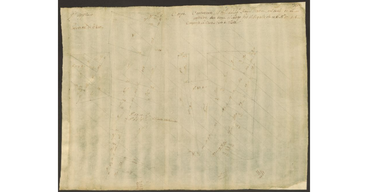 [Pianta dei beni posseduti dal sig. Francesco Martini, nei quali sono compresi i terreni del Bigallo nella comunità di Sesto]