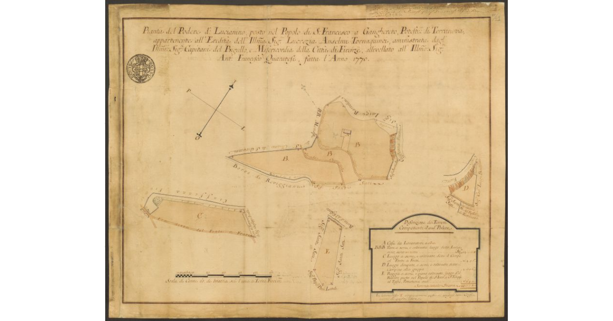 Pianta del Podere detto Lucianino, posto nel Popolo di S. Francesco a Ganghereto, Potesteria di Terranova, appartenente all’Eredità dell’Ill.ma Sig.ra Lucrezia Anselmi Tornaquinci, amministrata dagl’Ill.mi Sig.ri Capitani del Bigallo, e Misericordia della Città di Firenze, allivellato all’Ill.mo Sig.re Anton Francesco Quaratesi, fatta l’Anno 1770