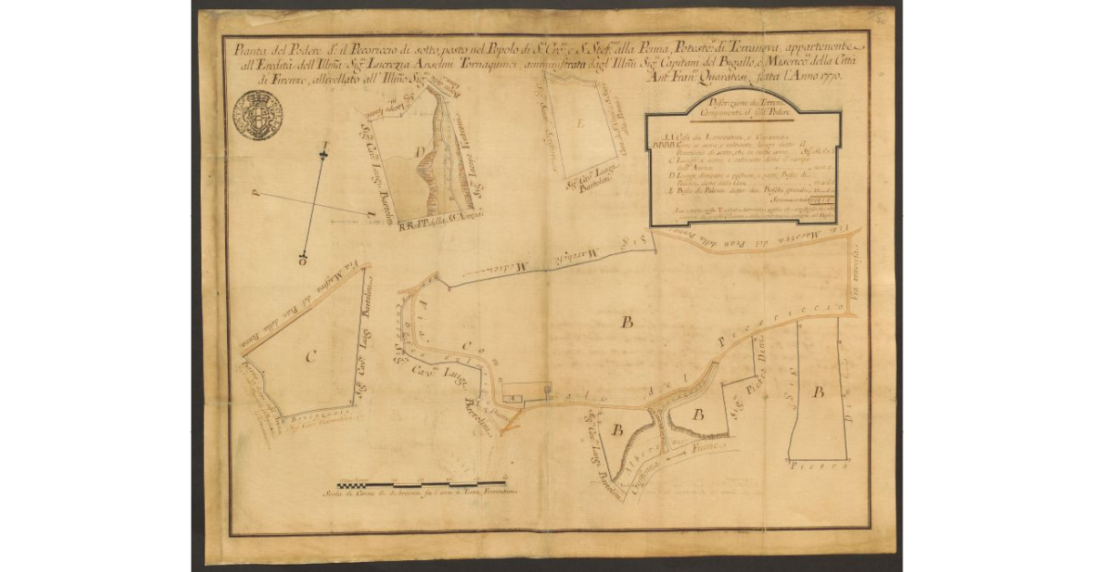 Pianta del Podere detto il Pecoriccio di sotto, posto nel Popolo di S. Croce e S. Stefano alla Penna, Potesteria di Terranova, appartenente all’Eredità dell’Ill.ma Sig.ra Lucrezia Anselmi Tornaquinci, amministrata dagl’Ill.mi Sig. ri Capitani del Bigallo, e Misericordia della Città di Firenze, allivellato all’Ill.mo Sig.re Anton Francesco Quaratesi, fatta l’Anno 1770