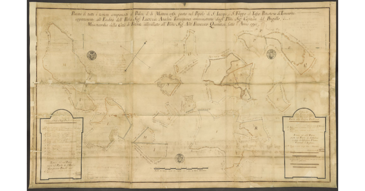 Pianta di tutti i terreni componenti il Podere detto di Matton rossi posto nel Popolo di S. Jacopo, e S. Filippo al Tasso Potesteria di Terranova appartenente all’Eredità dell’Ill.ma Sig.ra Lucrezia Anselmi Tornaquinci, amministrata dagl’Ill.mi Sig.ri Capitani del Bigallo, e Misericordia della Città di Firenze, allivellato all’Ill.mo Sig.re Anton Francesco Quaratesi, fatta l’Anno 1770