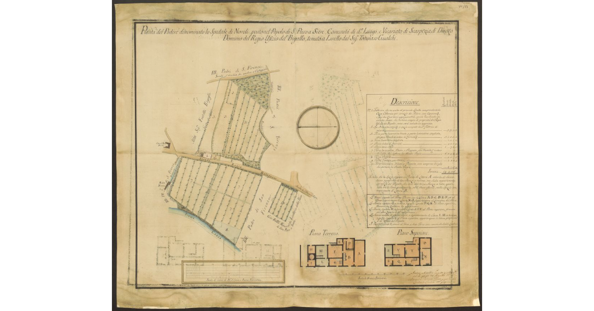 Pianta del Podere denominato lo Spedale di Novoli, posto nel Popolo di S. Piero a Sieve, Comunità di detto Luogo e Vicarito di Scarperia di Diretto Dominio del Regio Ufizio del Bigallo, tenuto a Livello dal Sig.re Tommaso Gualchi