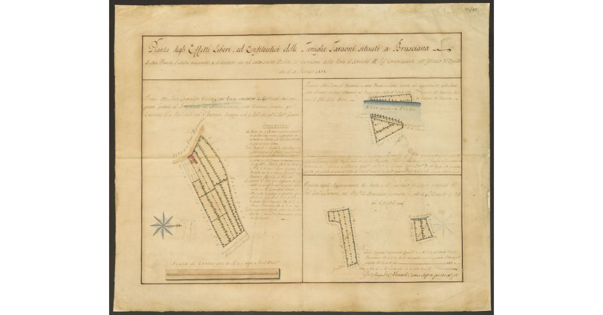 Pianta degli Effetti Liberi, ed Enfiteutici delle Famiglie Faraoni situati a Brusciana. Detta Pianta è stata misurata, e delineata da me sotto scritto Perito in esecuzione della Nota d'Istruzioni del Sig. Commissario dell'Ufizzio del Bigallo del di 10 Maggio 1808