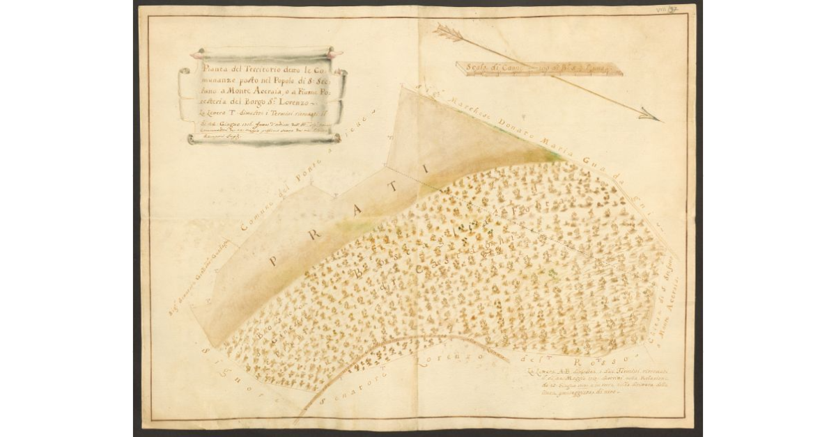 Pianta del Territorio detto le Comunanze posto nel Popolo di S. Stefano a Monte Accraia, o a Fiume Potesteria del Borgo S. Lorenzo