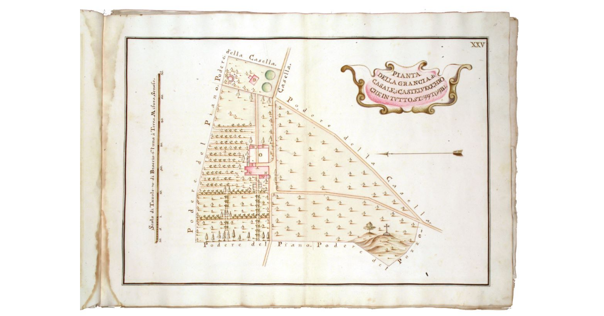 Pianta della grancia del casale di Castelvecchio ch'è in tutto staia 44, tavole 24, braccia 1