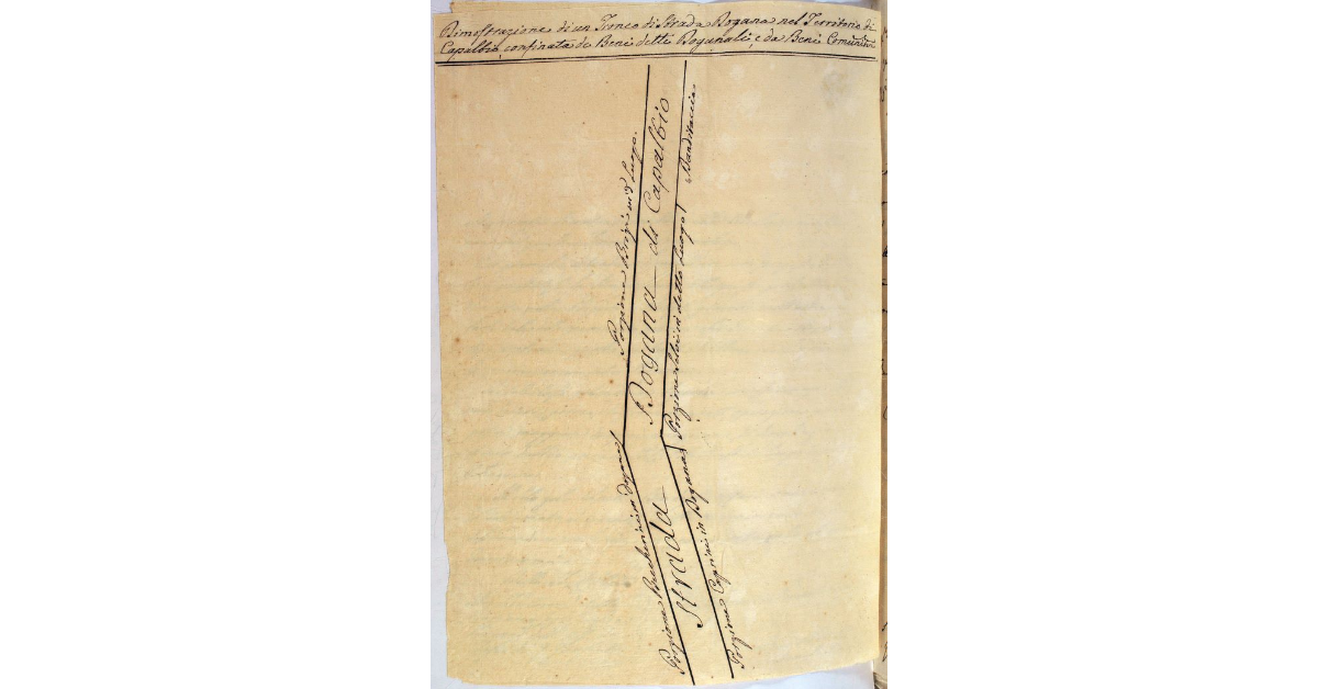 Dimostrazione di un Tronco di Strada Dogana nel Territorio di Capalbio, confinata de Beni detti Doganali, e da Beni Comunitativi