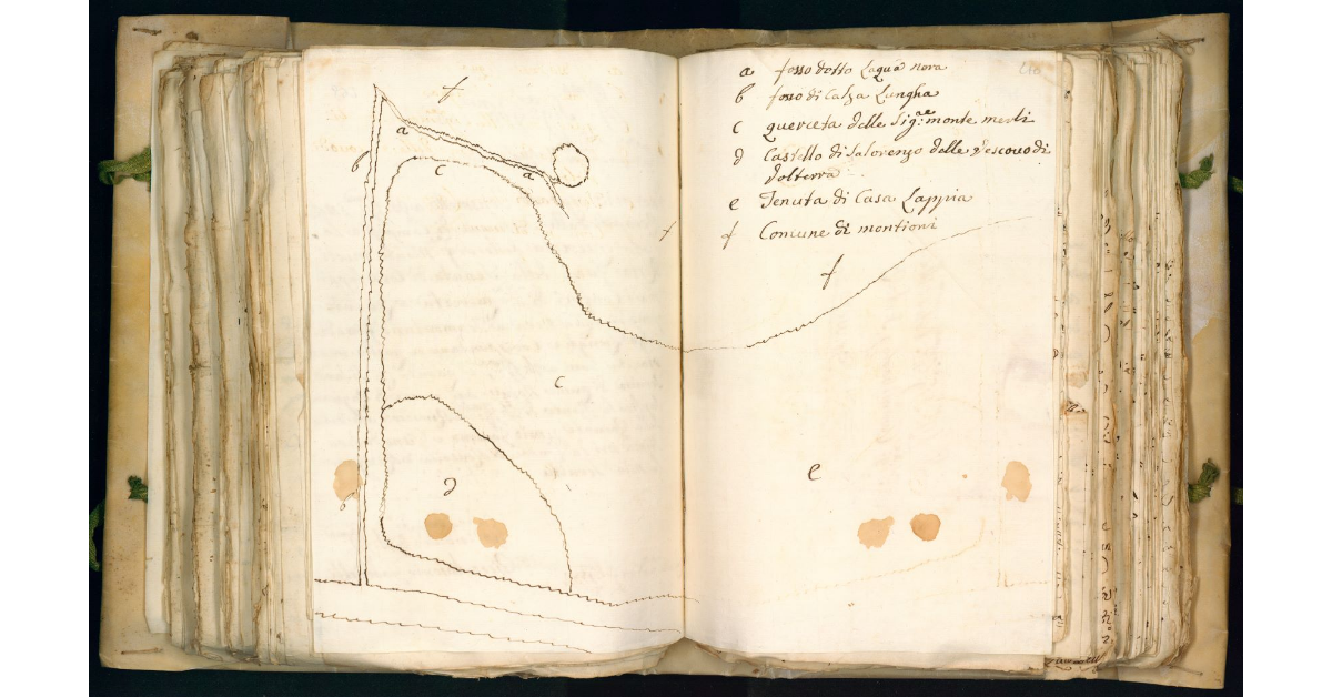 [Pianta della querceta del sig. Montemerli situata nel territorio comunitativo di Campiglia]